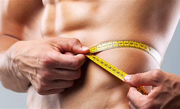 body fat testosterone