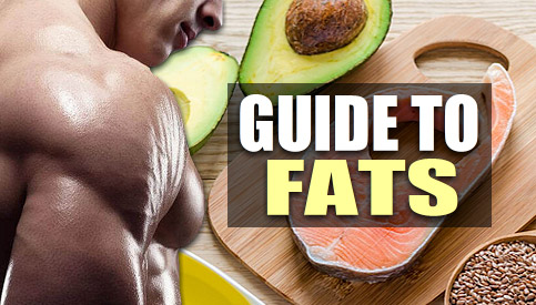 bodybuilding fat intake