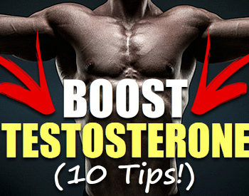 increase testosterone