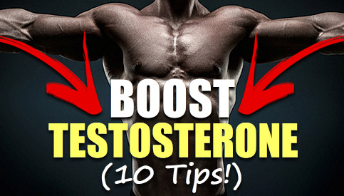 increase testosterone