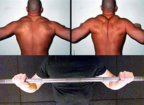 bench press scapula