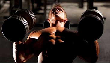 dumbbell bench press