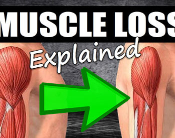 how long to lose muscle