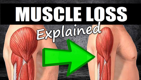 how long to lose muscle