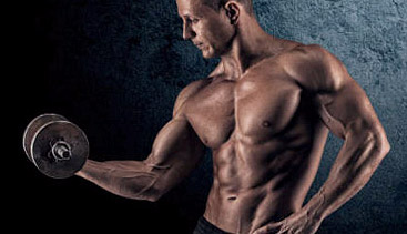 muscle memory bodybuilding