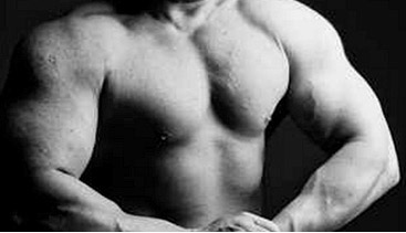 training layoff muscle loss