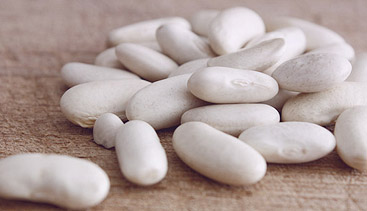 white kidney bean extract