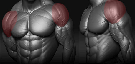 best shoulder exercises