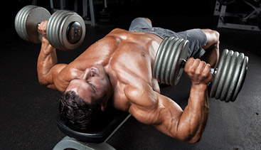 Two day a outlet week full body workout