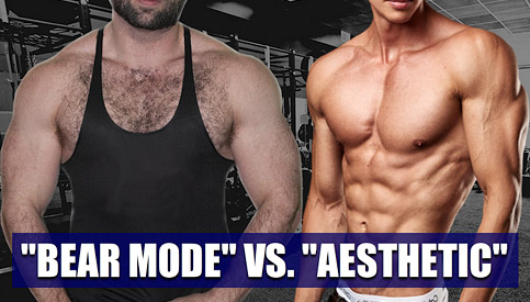 bear mode vs shredded