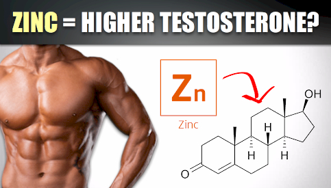 How Much Zinc Per Day To Increase Testosterone Stowoh
