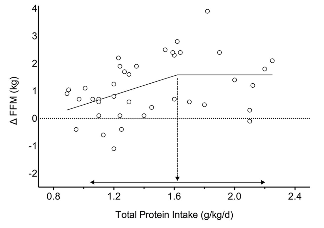 Protein Intake Effect on Muscle Growth