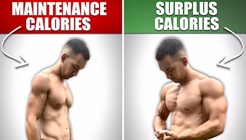 Advantages of Bulking and Cutting - Balance Fitness