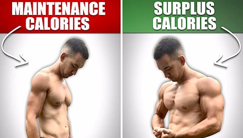 The Science Of Bulking: How To Build Muscle Without Getting Fat