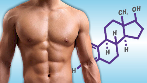 body fat testosterone