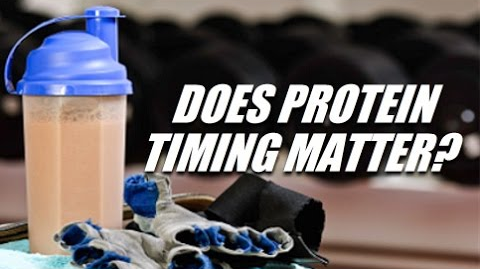 protein timing